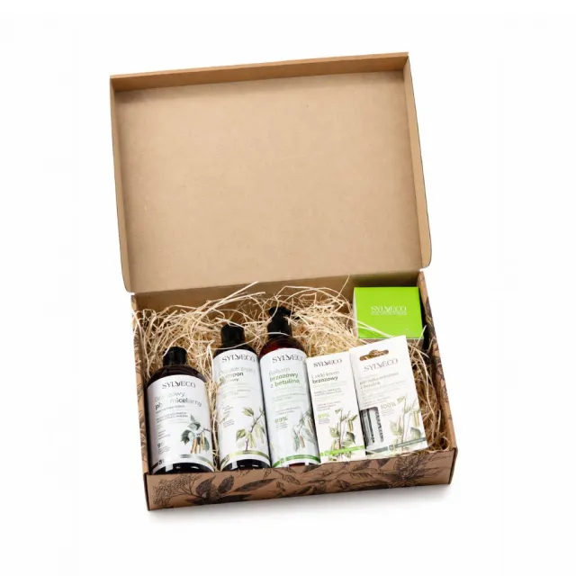 Sylveco Set Betulla con Shampoo routine delicata