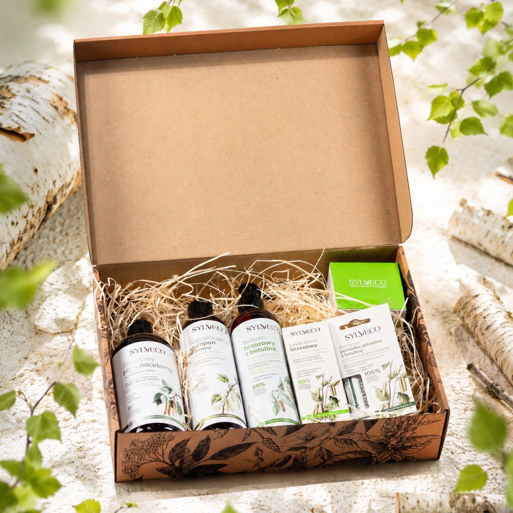 Sylveco Set Betulla con Shampoo routine delicata