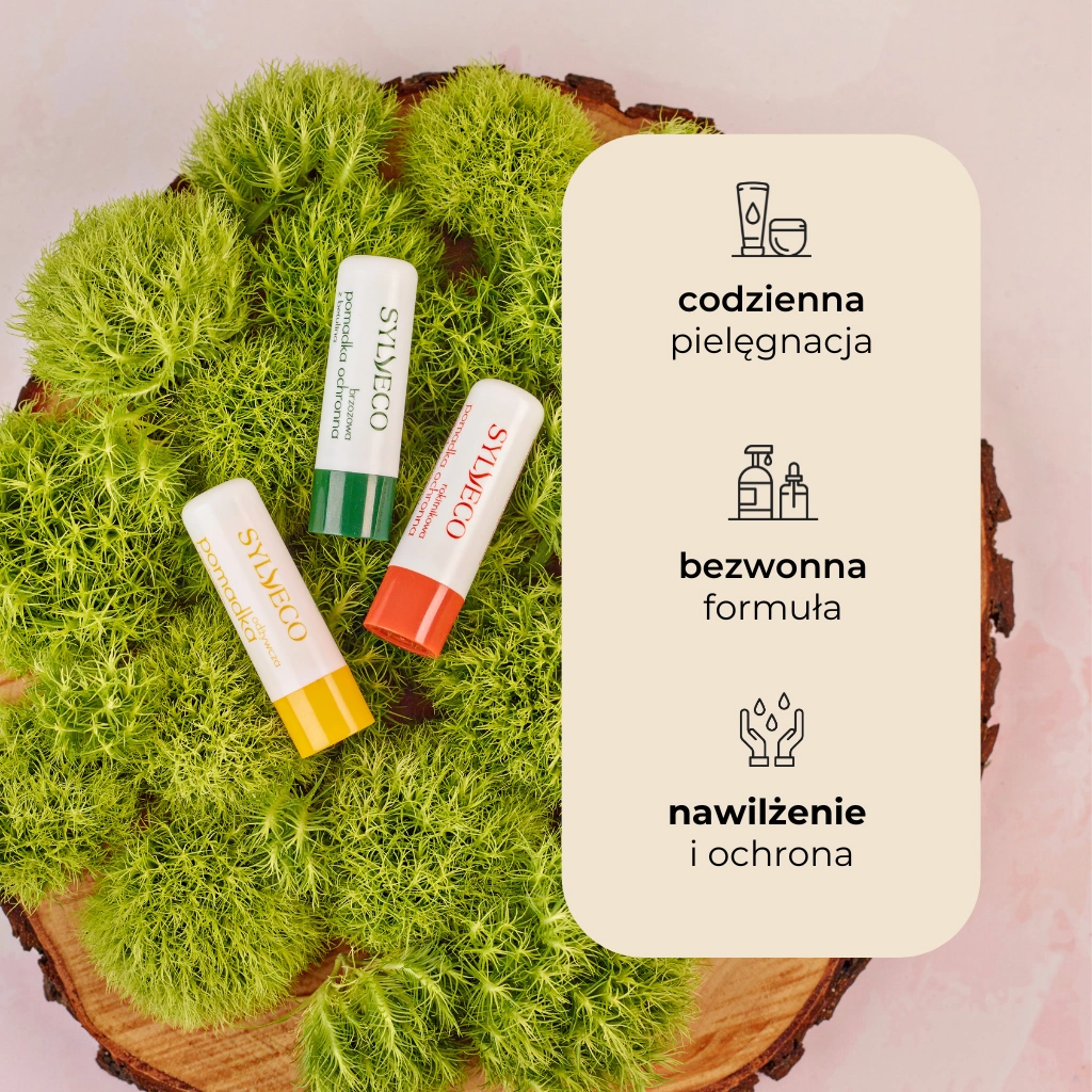 Sylveco Balsamo Labbra Betulla Betulina 4,6 g Protettivo