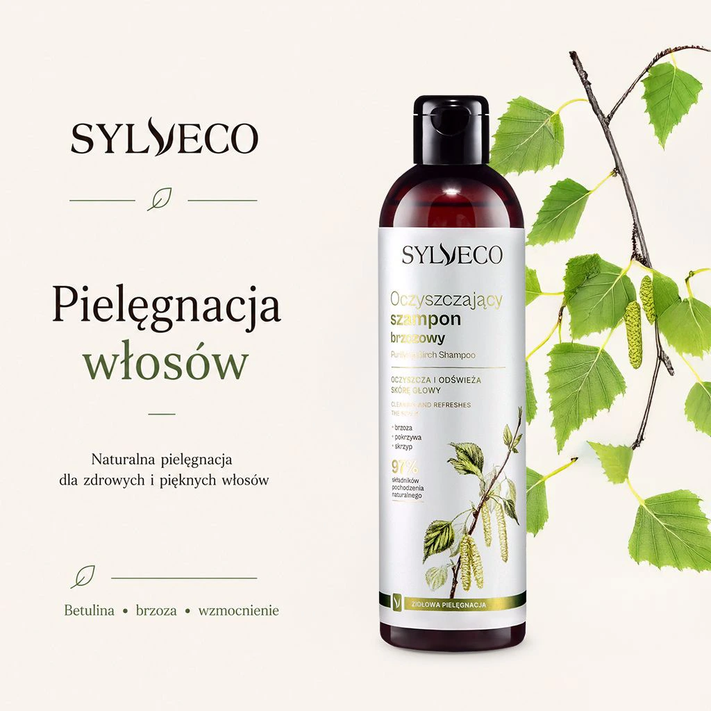 Sylveco Set Betulla con Shampoo routine delicata