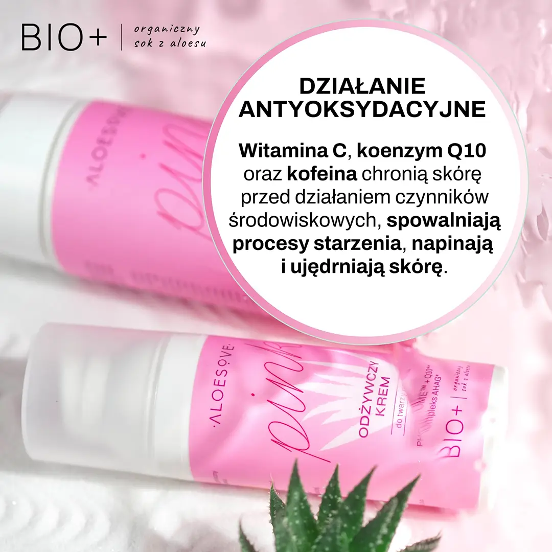 Vianek Aloesove Pink crema viso notte nutriente
