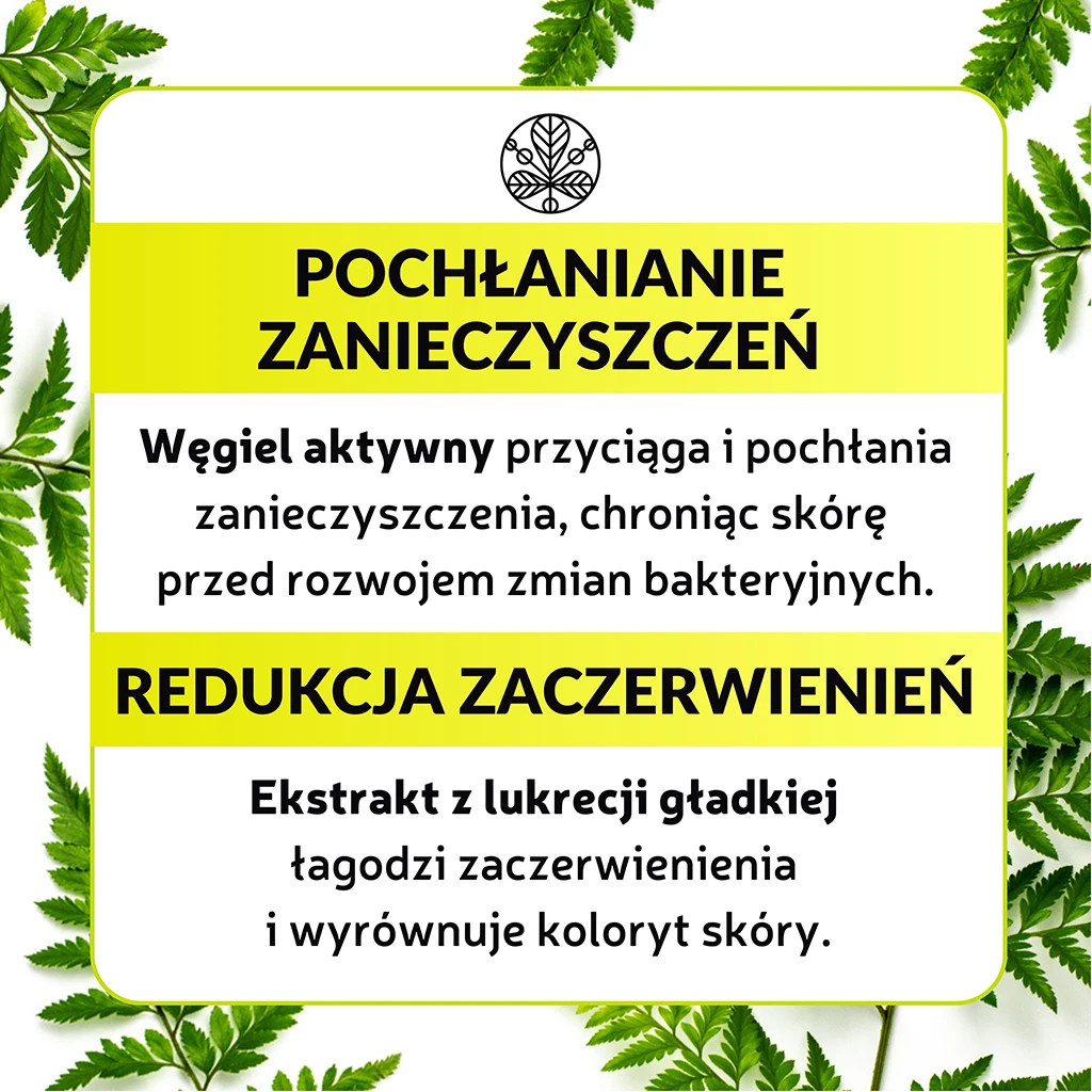 Duetus Maschera Viso Purificante Monodose